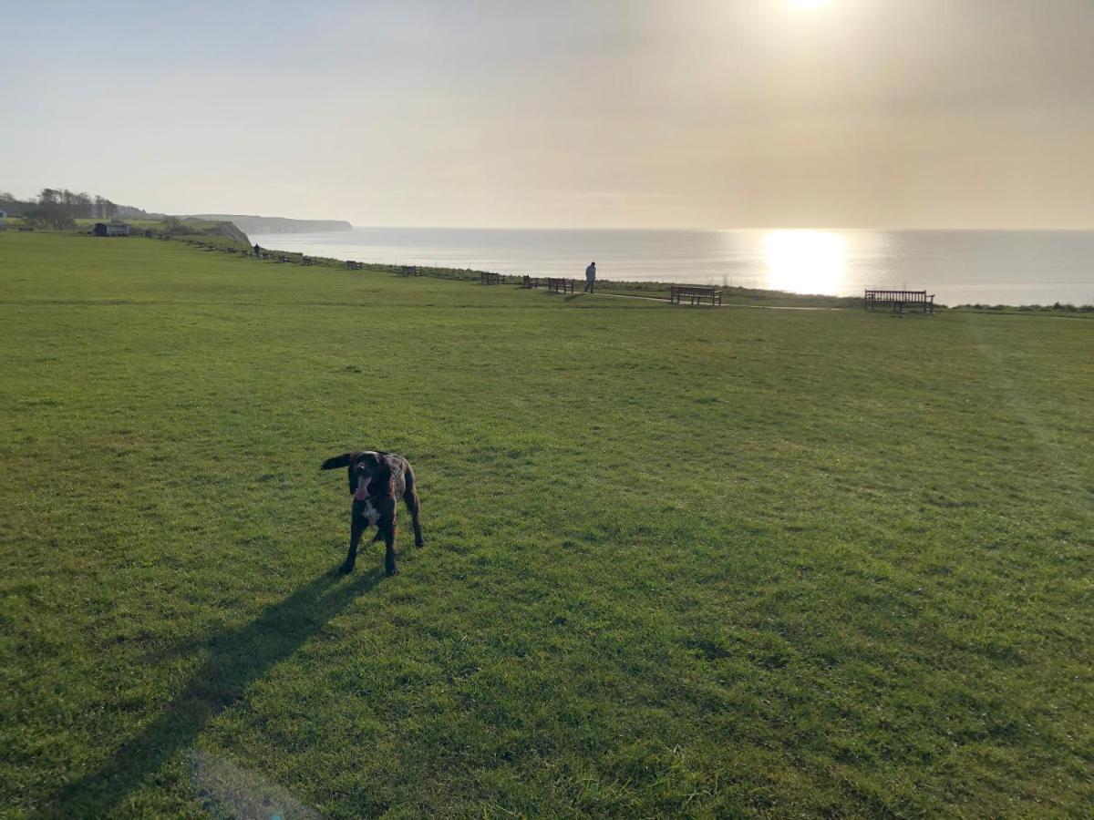 Dalis Den Lodge Bridlington Εξωτερικό φωτογραφία